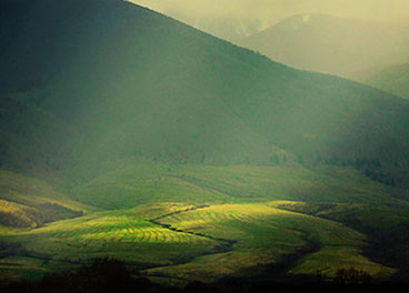 网络手机号呼叫软件免费版